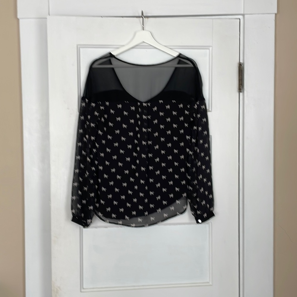 Sheer Poodle Blouse by Julienne W